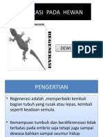 Regenerasi Pada Hewan