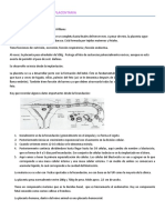 Desarrollo y Fisiología Placentaria