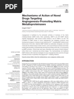 Mechanisms of Action of Novel Drugs Targeting Angiogenesis-Promoting Matrix Metalloproteinases