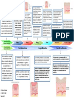 Linea de Tiempo Patologia