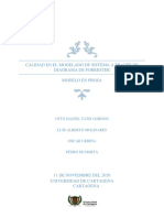 Modelo en Prosa Calidad Diagrama Forrester y Protocolo