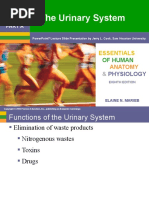 Urinary System 1