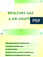 BR c3 Bbleur 20gaz