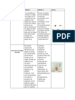 Cuadro Comparativo