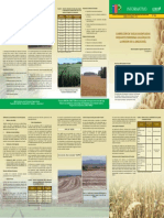 Encalado para Cultivo TRIGO