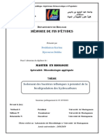 Memoire Terminé