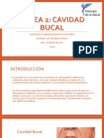 CAVIDAD BUCAL Anatomía