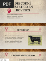 PDF Documento