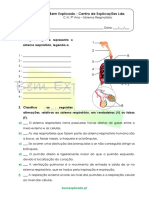 B.1.7 - Ficha de Trabalho - Sistema Respiratório