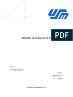 Informe de Los Interdictos en General.