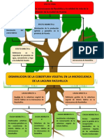 Arbol de Problemas