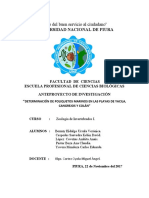 Determinacion de Poliquetos Marinos-1