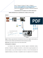 Informe 2 - Determinación de Minerales en La Harina de Chuño