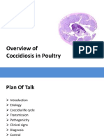 Lesson 3.2 Coccidiosis