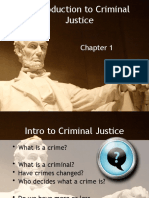 Introduction To Criminal Justice