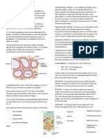 Fisiologia de Tiroides