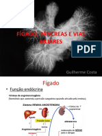 Figado