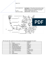 Write The Name of The Cranial Nerve of Your Answer On The Blank Provided Before The Number