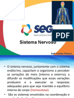 Sistema Nervoso