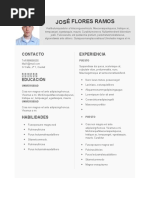 Plantilla CV 15 Gratis InfoJobs