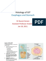 Histology of GIT: Esophagus and Stomach