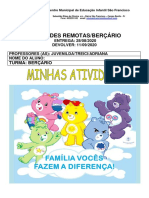 Atividades Remotas Bercario 28 08 2020