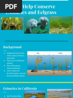 Marine Life Lab Presentation 