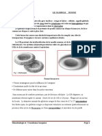 03 LE GLOBULE ROUGE Cours 4eme Année Pharmacie DR ABBASSEN