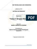 Tarea 2 - Grupos Etnicos