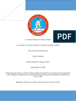 Ensayo Ejecutivo Sobre El Conflicto Interno Armado de Guatemala y Acuerdos de Paz Celebrados Entre El Estado de Guatemala y La Unidad Revolucionaria Nacional Guatemalteca URNG Entre 1991 y 1996