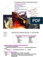 Contaminación Por Metales