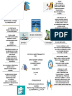 Consolidados y Separados