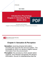 Chapter 4 Sensation Perception