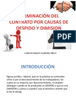 Causas de Despido Dimision