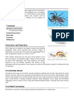 Book Lung: Structure and Function Arachnid Taxonomy Book Gills Footnote References