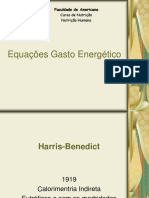 Equações Gasto Energético