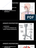 6 - 1 Aparato Respiratorio y de Fonacion-1