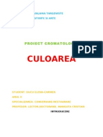 CULOAREA