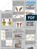 Plan Casero de Síndrome de Túnel Del Carpo