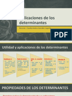 Empleo de Los Determinantes