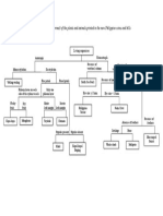 Cladogram of Plants and Animals