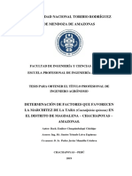 Determinación de Factores Que Favorecen La Seca Seca en Taya