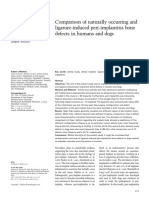 Schwarz 2007 - Bone Defects in Peri-Implantitis