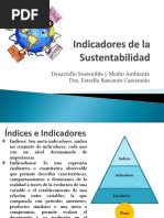 3.3 Indicadores Sustentabilidad