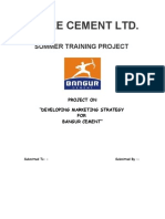 Shree Cement LTD.: Summer Training Project