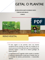 Reino - Vegetal - 5 Grado