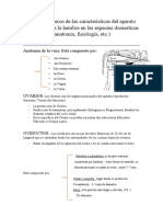 Investigar Acerca de Las Características Del Aparato Reproductor de La Hembra en Las Especies Domesticas