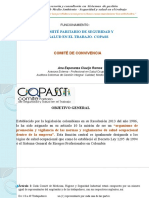 Copasst Comite de Convivencia Funcionamiento