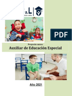 Proyecto Aux Educ. Especial