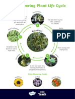 Comparing Different-Life Cycles Posters